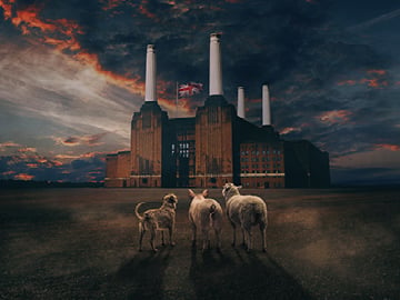 Brit Floyd