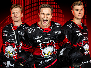 Malmö Redhawks-Brynäs Kvartsfinal 3